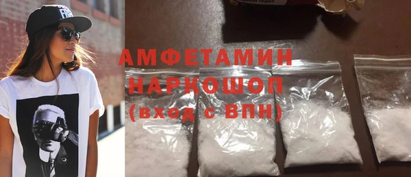 мет Алексин