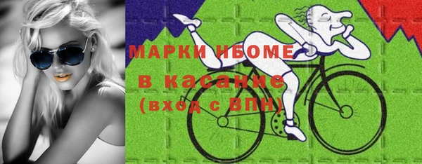 мет Алексин