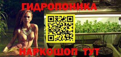 мдпв Обь