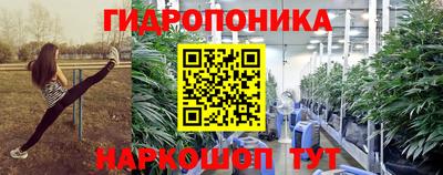 мдпв Обь
