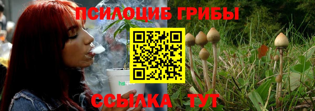 Псилоцибиновые грибы Cubensis  Галлюциногенные грибы Cubensis  Нефтекамск  Вход с VPN 